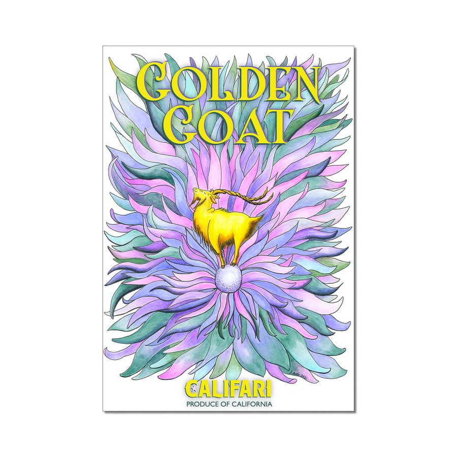 Califari's Golden Goat 13 x 19 Limited Edition Giclee Print